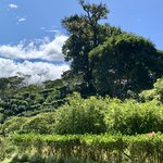 Photo taken by Luke T