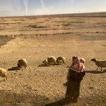 Photo taken by Claire M