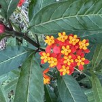 Photo taken by Solomon F