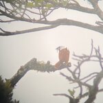 Photo taken by Lauren A