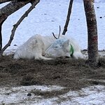 Photo taken by Jennifer E