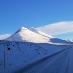 Photo taken by Armando N