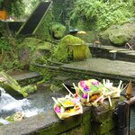 Photo taken by Nancy P