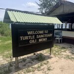 Photo taken by Mary S