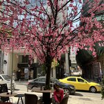 Photo taken by Aktta P