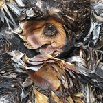 Photo taken by alton r