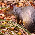 Photo taken by Dennis H