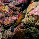 Photo taken by Nicholas P