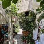 Photo taken by Steven B