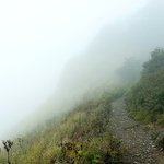 Photo taken by Jill S