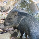 Photo taken by Pat K