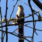 Photo taken by Bert B