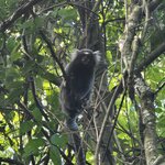 Photo taken by Vickie B