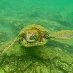 Photo taken by Thomas L