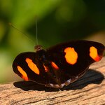 Photo taken by Dennis H