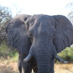 Photo taken by John B