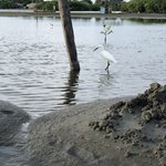 Photo taken by Juliette S