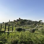 Photo taken by Amy L