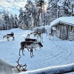 Photo taken by Caitlin P