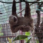 Photo taken by Susan O