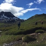 Beauty overload | Photo taken by rob e