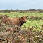 Photo taken by John O