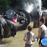 Photo taken by Brook D