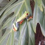 Photo taken by Claudia S