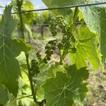 Photo taken by Tracy F