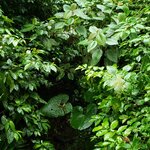 Photo taken by Susan D