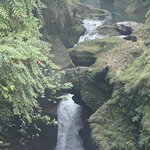 Photo taken by Wayne D