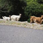 Photo taken by Patricia V