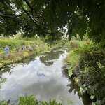 Photo taken by Queenie C