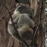 Photo taken by William Scott S