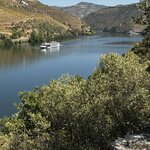 Photo taken by Shelley H