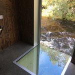 Photo taken by Michelle J