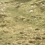 Photo taken by Daniel B