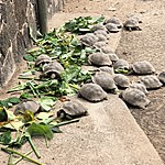 Photo taken by Meggan M