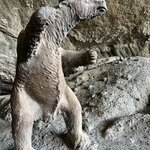 Photo taken by Rahul S