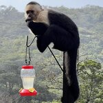 Photo taken by Patrice G