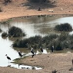 Photo taken by Brad P