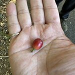 Photo taken by Allen L