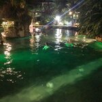 Photo taken by Gill P