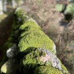 Photo taken by Danielle P