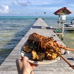 Day at sea with Captain Eric and Jiggy | Photo taken by BRAD K