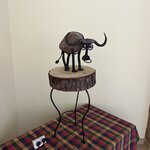 Photo taken by Debbie W