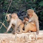 Photo taken by Wayne D