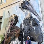 Photo taken by Preetha T