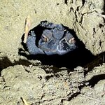 Photo taken by Roveen B