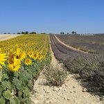 Photo taken by Lyon K